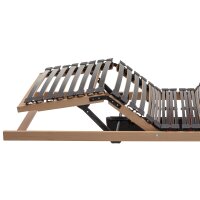 Interliving Lattenrost Serie 1953 mit zwei Motoren zweifach motorisch mit Handschalter – Liegefläche ca. 90 x 200 cm