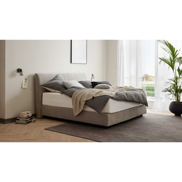 Interliving Boxspringbett Serie 1401 silberfarbener Bezug Rob 533006 – Liegefläche ca. 180 x 200 cm