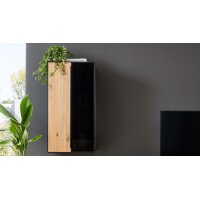 Interliving Wohnzimmer Serie 2033 - Hängeschrank...
