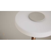 Interliving Leuchten Serie 9351 - Stehlampe warmgraues & kaffeefarbenes Metall - Höhe ca. 160 cm