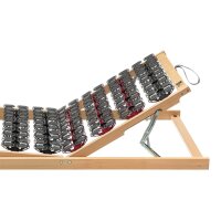 Interliving Lattenrost Serie 1954 mit manueller...