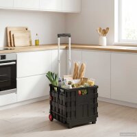 vidaXL Wagen Schwarz und Rot 35 x 39 x 92 cm PP und...