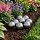 vidaXL Gebürsteter Ball 8 Stk. Ø 5 cm Silber Edelstahl 201 Silber 42008412