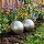 vidaXL Gebürsteter Ball 2 Stk. Ø 15 cm Silber Edelstahl 201 Silber 42008415