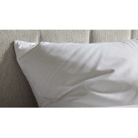 Interliving Kopfkissen Serie 9212 - Daunenkissen 1.100 g Federn & Daunen - ca. 80 x 80 cm
